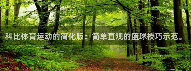 关键词