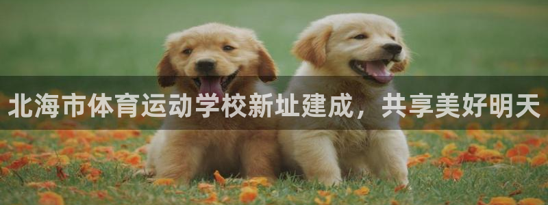 64体育
