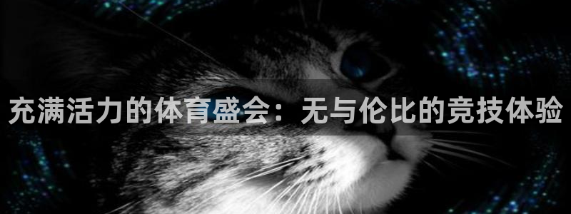 64体育：充满活力的体育盛会：无与伦比的竞技体验
