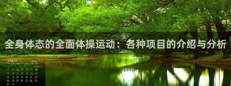 关键词：全身体态的全面体操运动：各种项目的介绍与分析