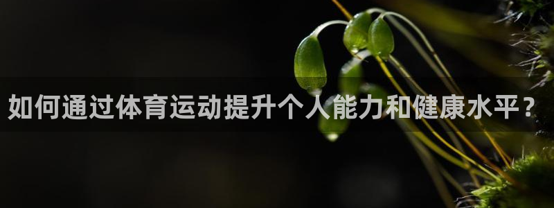 关键词：如何通过体育运动提升个人能力和健康水平？