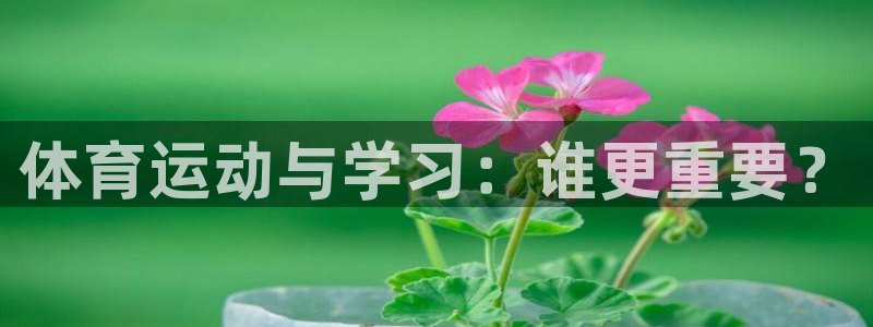 关键词：体育运动与学习：谁更重要？