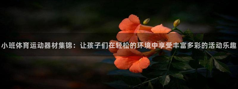64体育：小班体育运动器材集锦：让孩子们在轻松的环境中享受丰富多彩的活动乐趣